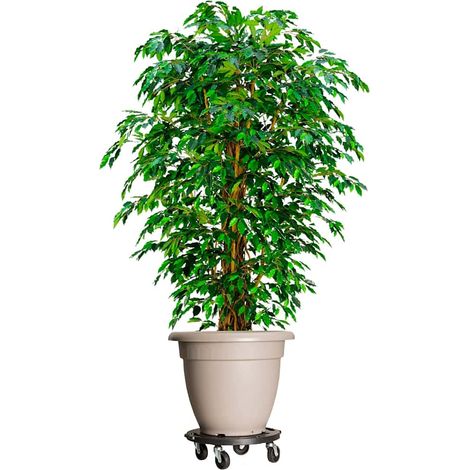 Support sur roulettes pour plantes Meuble Support Plante - Diamètre 40 cm Noir 275 kg BV661781 - BonneVie (1/5)