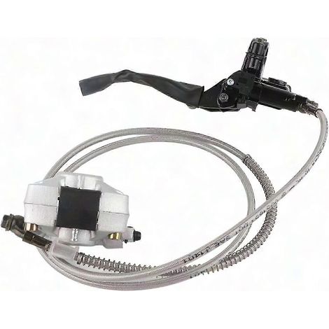 Hydraulischer Hinterrad-Scheibenbremssattel mit Bremsbelägen, kompatibel mit 150-cm³- und 250-cm³-Quads, Buggys und Offroad-ATVs (1/5)
