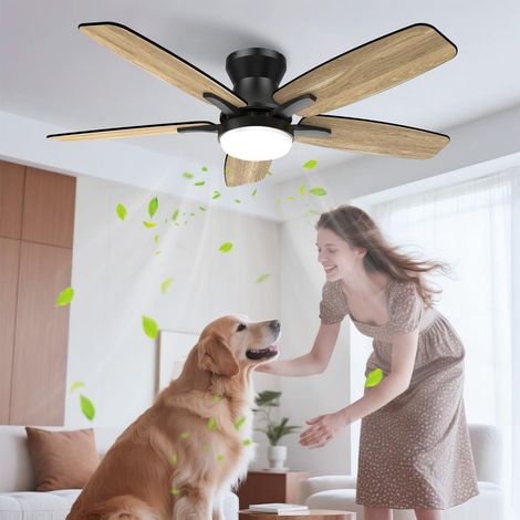 106cm Ventilateur Plafond avec Lumiere Double Face Pale, Silencieux LED Lampe Ventilateur de Plafond avec Telecommande et Réversible DC Moteur pour Chambre Salon Cuisine