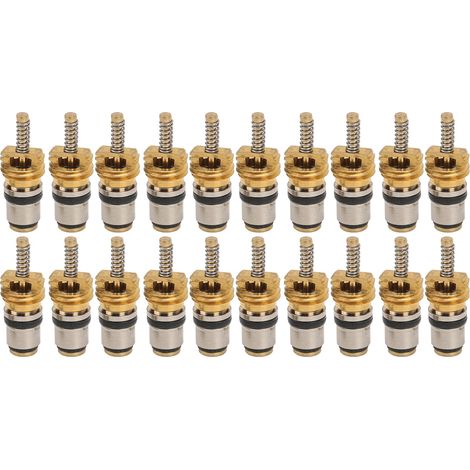 20 noyaux de valve haute pression, adaptés à la plupart des démonte-pneus de climatisation automobile, peuvent remplacer les noyaux de valve des voitures Peugeot. (1/5)
