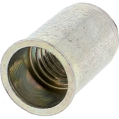 RIVKLE® Tête Réduite Fut Cyl.Ouv.M3 Bichromaté Ep. 0.5 A 1,5 Poucique (1/2)