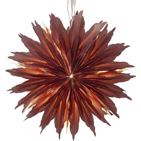 Star Trading Étoile de papier Dis, rouge, décoration de Noël, 40 cm (1/5)
