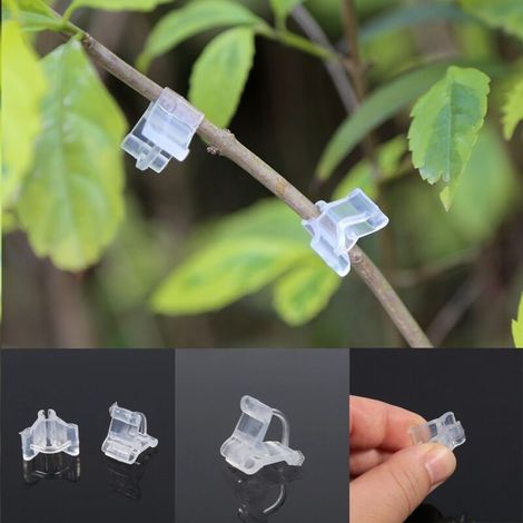 Professionelle Veredelungsclips für Tomaten, Auberginen und Kürbisgewächse – 100er-Packung, transparente Kunststoffclips, geeignet für Jungpflanzen von 2,0 bis 4,5 mm