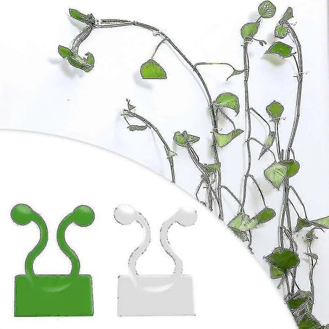 Attaches invisibles pour plantes grimpantes, clips de fixation murale, crochets auto-adhésifs, vert et blanc, NS2, blanc, 10 pièces (1/4)