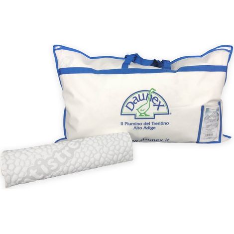OREILLER EN DUVET D'OIE ISSIMO DAUNEX AVEC COUVERCLE TEXFAMILY MASSAGE