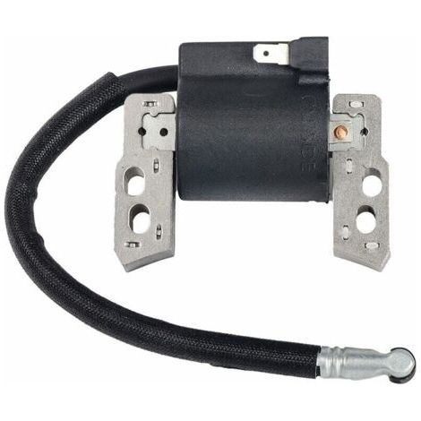 Pair Elektronische Zündspule Ersatz für Briggs & Stratton 695711,802574,493237,796964,492416 (1/5)