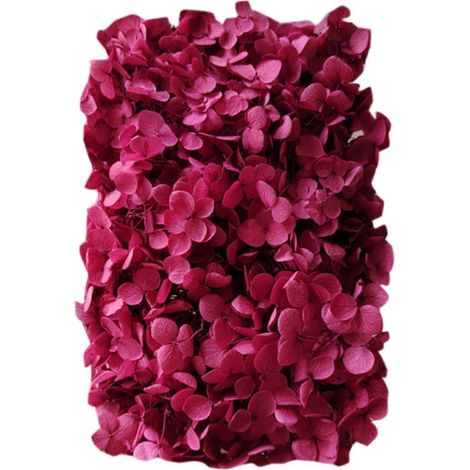 Farfi 20g/Box Trockenblumen, keine Bewässerung nötig, dekorative, frisch haltende künstliche Hortensienblüten, Geschenkbox-Set, Heimdekoration für das Wohnzimmer-Light Wine Red