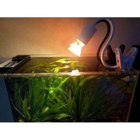 Lampe chauffante pour reptiles, lampe chauffante pour terrarium, lampe chauffante pour tortues, lampe chauffante à incandescence, douille pour lampe chauffante à incandescence (1/4)