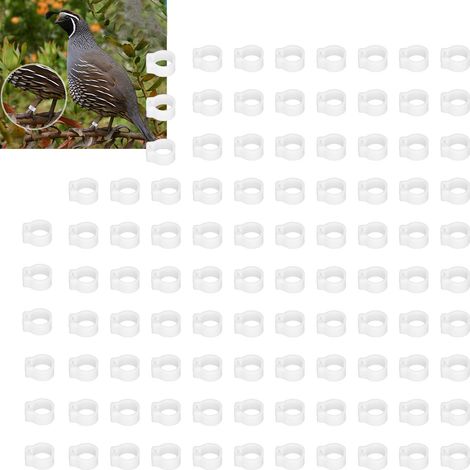 100 bagues d'identification pour pigeons de 8 mm, sans inscription, blanches. (1/5)