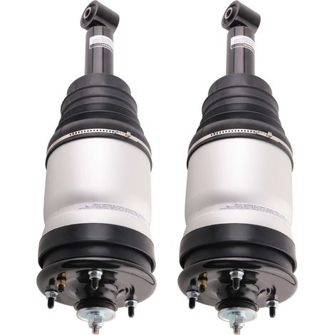2x Sospensioni Pneumatiche Posteriore SX+DX RPD501100 for Range Rover Sport l320 (1/5)