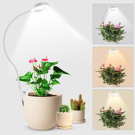 Filiyano – Lampe de croissance LED à spectre complet à pince, éclairage horticole avec minuterie (3/9/12 heures), orientable à 350°, étagères de (1/5)