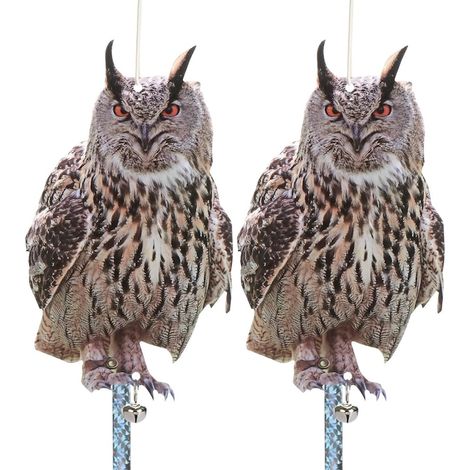 Lot de 2 épouvantails oiseaux « Épouvantail hibou-pigeon », QttvbTna, polypropylène réfléchissant, résistant à l'eau, 81 cm, multicolore (1/5)