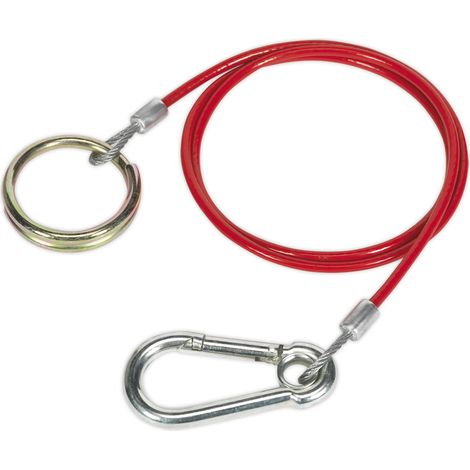 Sealey Breakaway Cable 1m x 3mm TB47 (1/2)