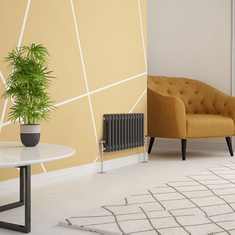 Traditional Anthracite Double Horizontal Radiator 300 x 605mm (1/4)