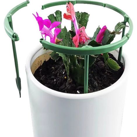 12 Pflanzenstützen Kunststoffkäfige Kleine Pflanzenstützringe 25 x 25 cm für Zimmer und Gartenpflanzen (1/4)