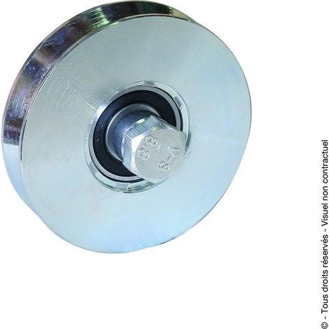 ROUE A GORGE TRIANGULAIRE 120X30 2 ROULEMENTS ZG.BL - A13120-1 - TORBEL INDUSTRIE - Lot de 2