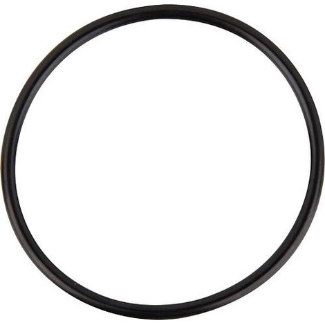 Joint torique pour tasse de filtration convient pour FloCo-Top-1C/-2CM UE 10 pcs.