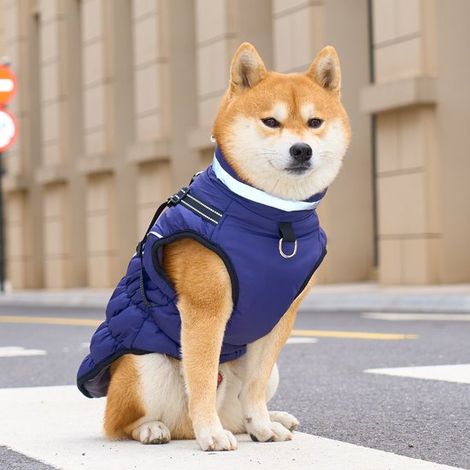 Cappotto impermeabile per cani con pettorina integrata, caldo cappotto invernale per cani, giacca in pile riflettente, cappotti per cani per il freddo, termico (1/5)