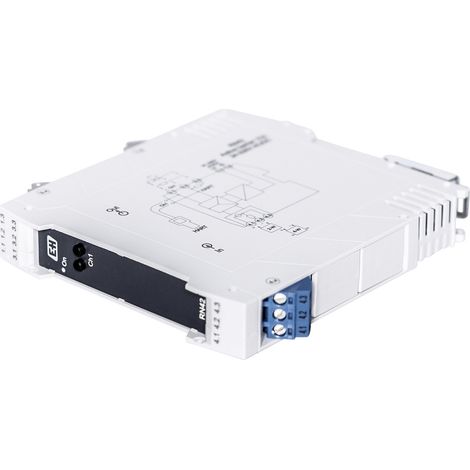 Endress+Hauser RN42 RN42-AA1AU 1 St. (1/3)