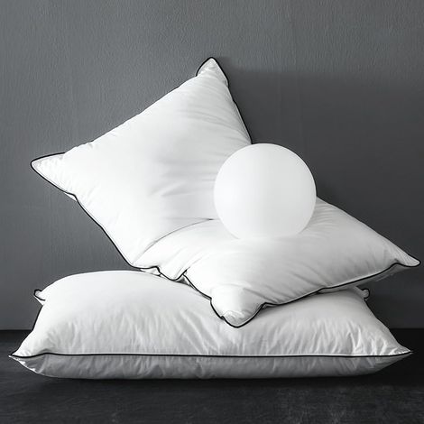 Oreiller d'hôtel en Duvet d'oie et Plumes, 50 x 75 cm Lot de 2 (1/5)