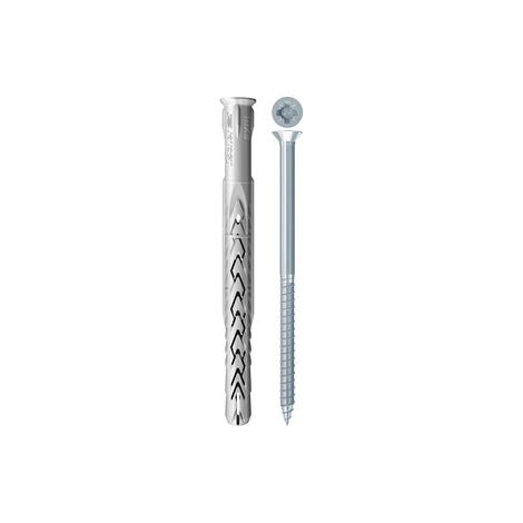 FISCHER TASSELLO SXRL-WZ  10X100 VITE POZI 50 PZ
