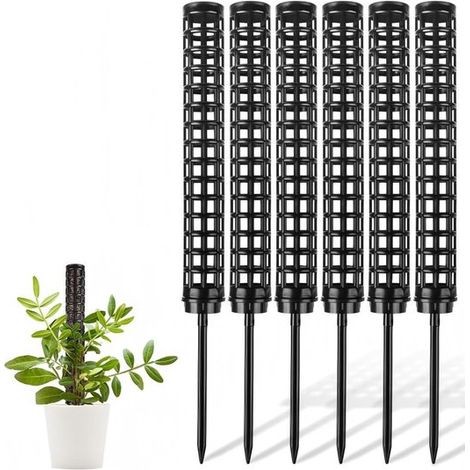 Lot de 6 tuteurs pour Monstera, tuteurs de 24 cm de long, adaptés aux plantes grimpantes d'intérieur et d'extérieur, noir. (1/5)
