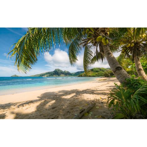 Papier peint panoramique naturel Oasis de Plage en Mer du Sud (1/4)