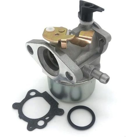 Vergaser für Briggs & Stratton Quantum Motoren - Vergaser-Ersatzteile (1/5)