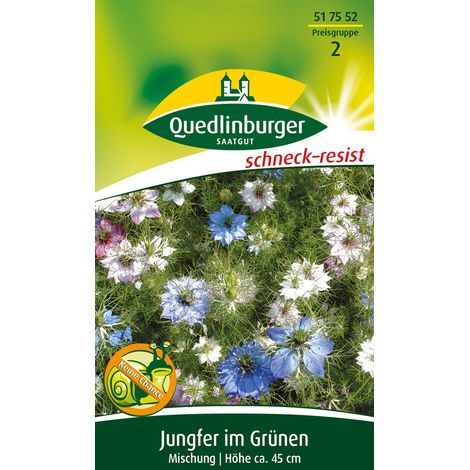 Quedlinburger Saatgut – Nigelle de Damas, mélange – Graines de fleurs, annuelle, hauteur env. 45 cm (1/2)