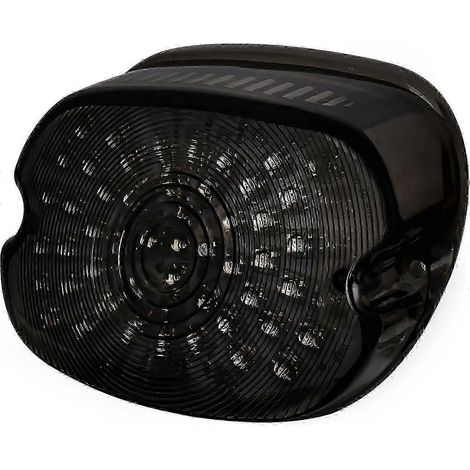 Feux de freinage à LED fumés discrets pour feux arrière Harley-Davidson Sportster (1/5)