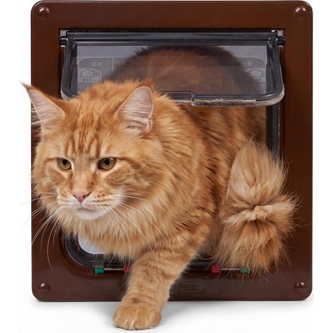 CCYKXA Große braune Katzenklappe mit 4 Positionen für Katzen/kleine Hunde (1/5)