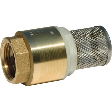 CLAPET PIED + CREPINE MONOBLOC FEMELLE 1/2'' LAITON INOX RENSON