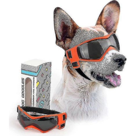 Gafas para perros de raza pequeña, fáciles de poner, protección UV/viento/polvo/niebla ajustable. (1/5)