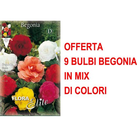 OFFERTA 9 BULBI BEGONIA DOUBLE MIX BULBS FIORI