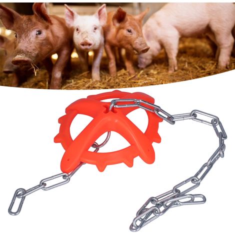 Enchaînement en fer pour porcelets, appât vétérinaire antirouille, jouet à mâcher en plastique réglable pour la ferme (1/5)