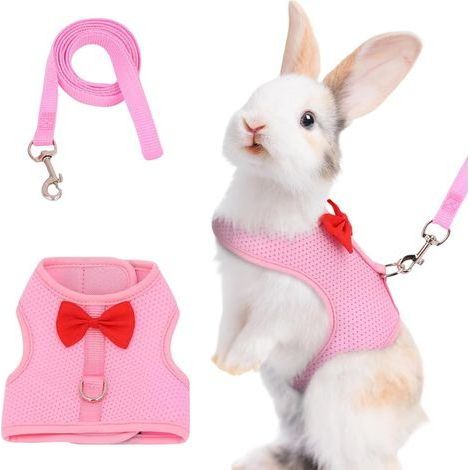 1 Harnais Pour Lapin, Réglable, Maille Respirante, Anti-évasion, Parc Et Maison (1/5)