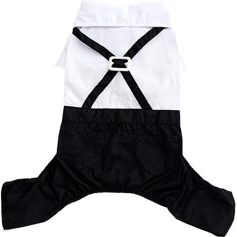Das neue 1-teilige formelle Haustier-Outfit