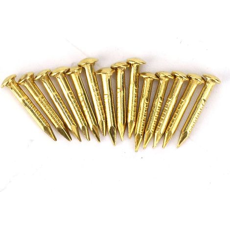 100 pièces clous en laiton, clous à tête ronde en laiton accessoires de quincaillerie de charnière de meubles 10 mm/15 mm/18 mm/22 mm pour suspendre cadre photo miroir, (10mm long) (1/5)