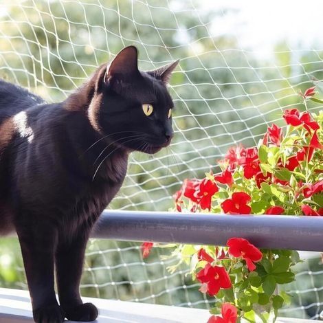 Balkon-Katzennetz, 5x5m Anti-Vogelnetz, Balkon-Katzennetz, Vogelnetz aus Nylonfaden, Katzenschutznetz, Gartennetze, Erdbeerschutznetz, Anti-Tauben-Poolschutznetz (1/3)