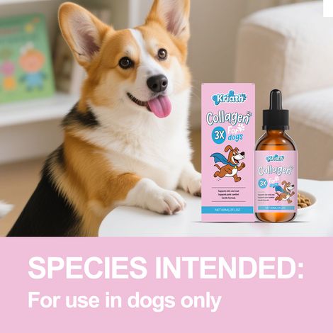 Gouttes nutritives douces pour chiens, bénéfiques pour le pelage et la peau, en complément de l'alimentation principale – 60 ml (1/5)