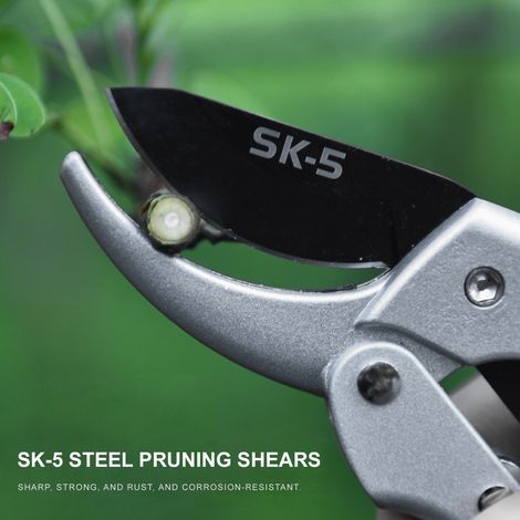 SK-5 Gartenschere mit Stahlklinge, Gartenschere, Bonsai-Schneidewerkzeug-Set für Rosen, Blumen und Obstbäume