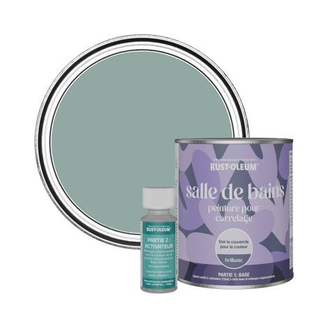 Peinture pour Carrelage de Salle de Bain, Finition Brillante - Bleu Gris 750ml (1/2)