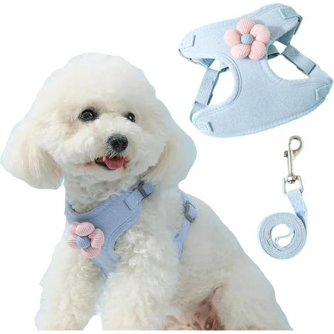 Laisse pour petit chien (bleu, L), mignonne, facile à mettre et à enlever, adaptée aux promenades et aux sorties (1/5)