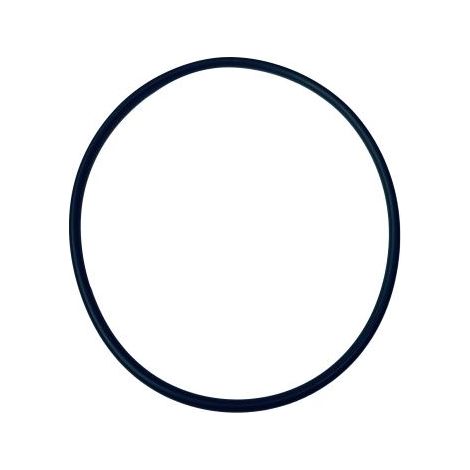 Wilo mechanisches Ersatzteil O-Ring Id.107,54X3,53 VP.