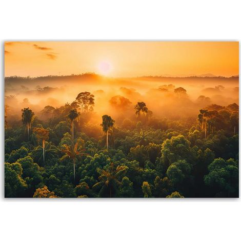 Tableau jungle au lever du soleil (1/5)