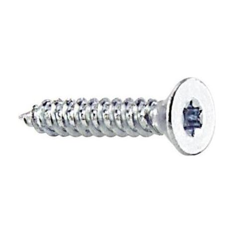 Tornillos no-name 839573 galvanizados Torx 4.2 mm 9.5 mm