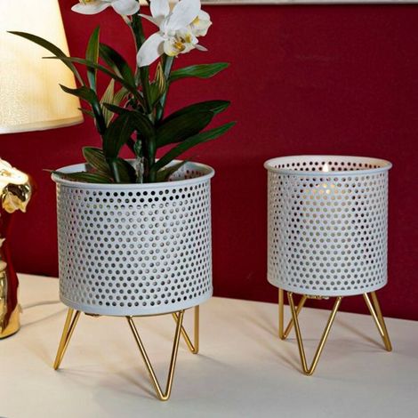 Objets Vifs, (1/5)