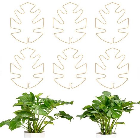 Tuteurs pour plantes - Lot de 6 - Tuteurs pour Monstera - Tuteurs pour tiges de plantes - Tuteurs pour plantes d'intérieur - Tuteurs anti-affaissement - Durables - Tuteurs stabilisateurs pour Monstera (1/5)