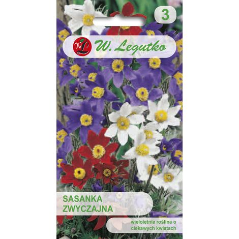 Miscela di semi di pulsatilla, miscela di fiori perenni, Legutko (1/2)