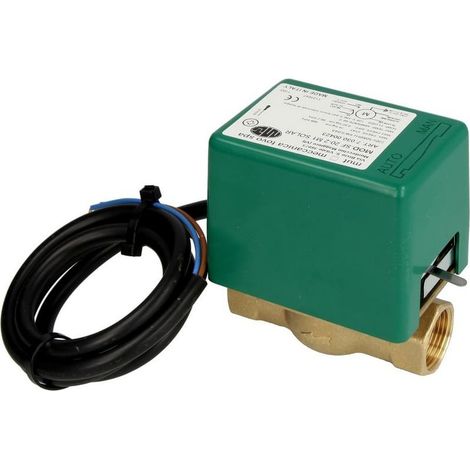 Vanne de zone 2 voies solaire MUT 1'' FF avec microrupteur auxiliaire